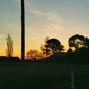 Meet your Posher, Isabel